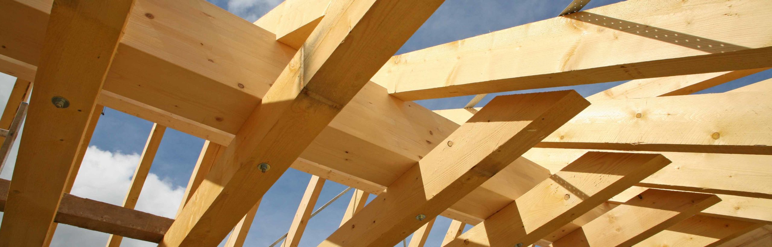 Fixations pour la construction en bois - vis à terrasse Vis en acier inoxydable dans la construction en bois
